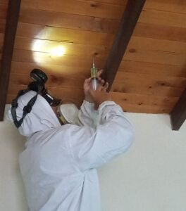 Inyeccion en madera